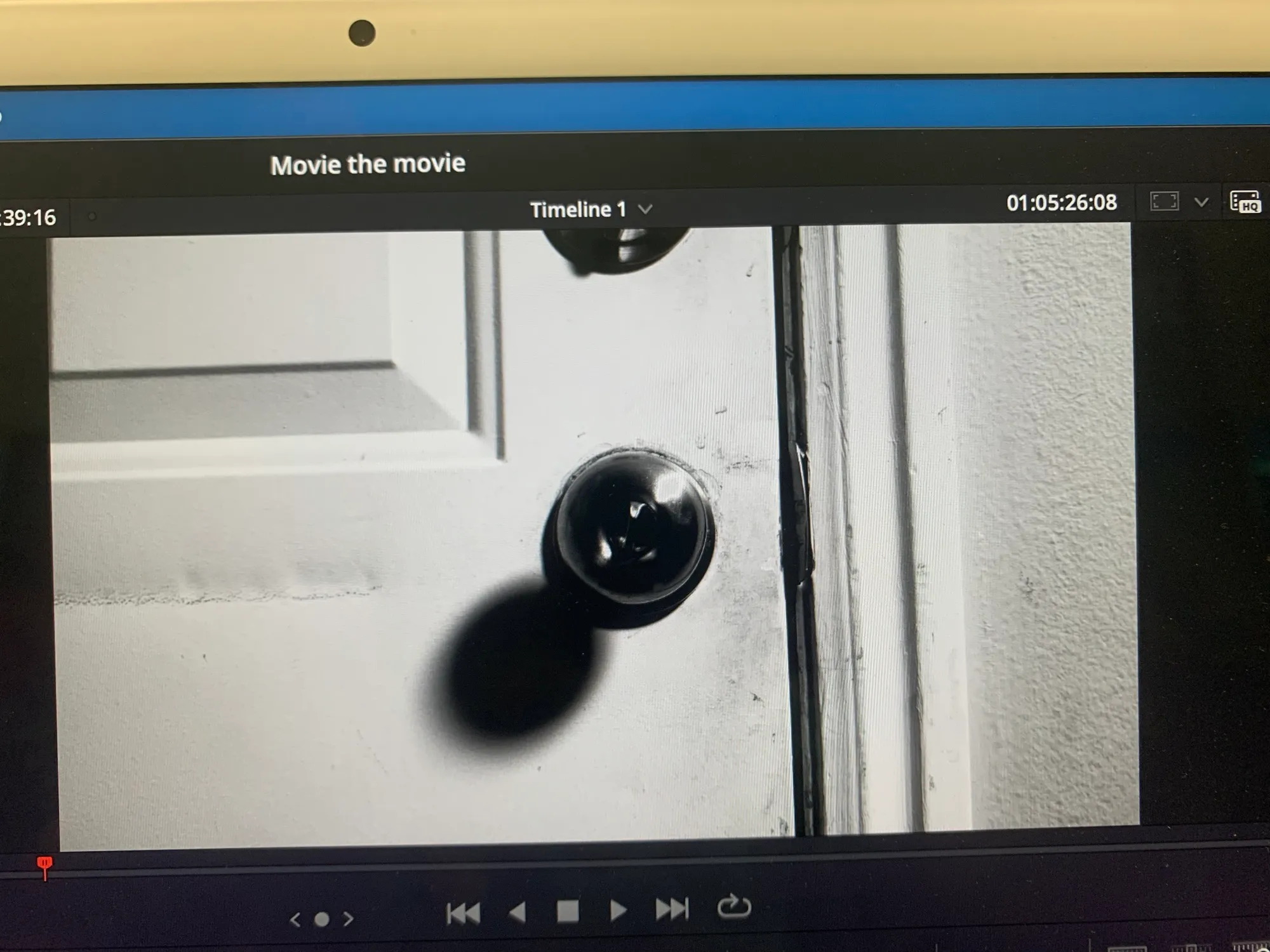 Behind the scenes photo 1 from Splice